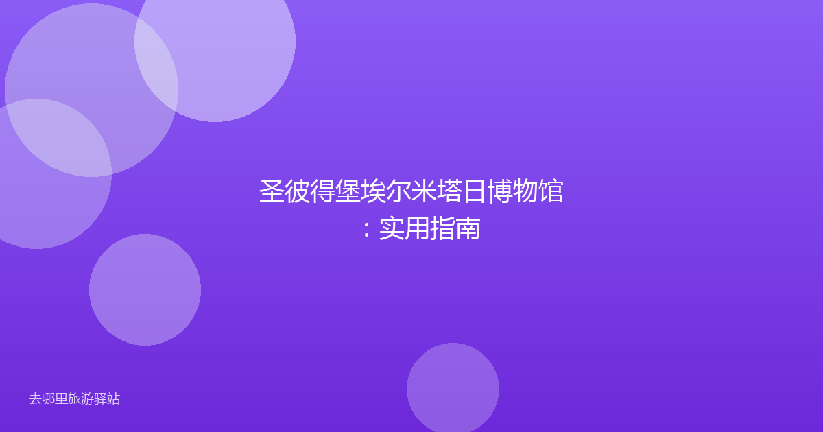 圣彼得堡埃尔米塔日博物馆：实用指南
