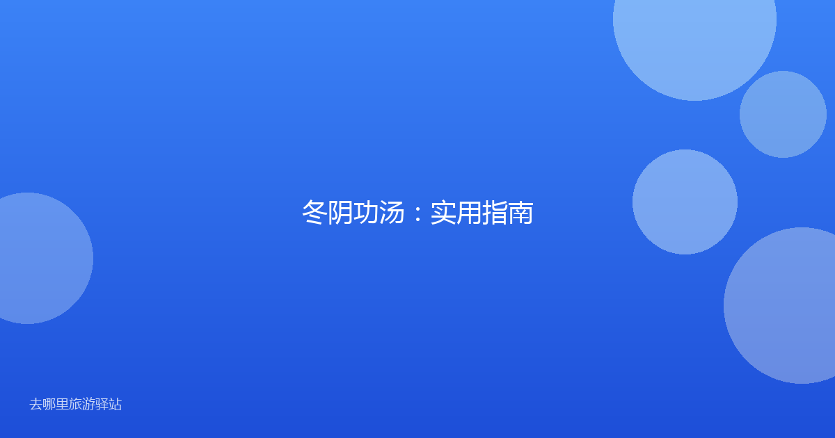 冬阴功汤：实用指南