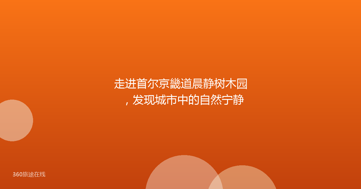 走进首尔京畿道晨静树木园，发现城市中的自然宁静