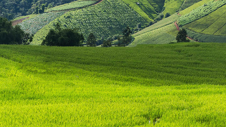 贝加尔湖冬季旅游 - 083940uJ1yj