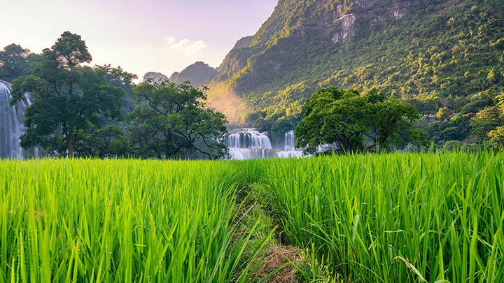 桂林旅游景点大全：一次玩转山水甲天下的美景